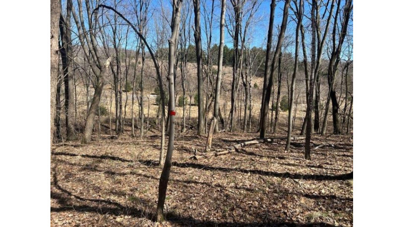 Lot 3 464th Street Boyceville, WI 54725 by C21 Affiliated/Menomonie $27,900