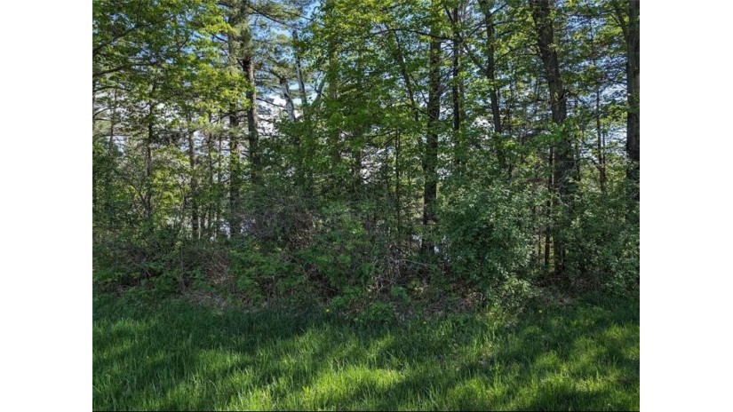 Lot 26 10th Avenue Chetek, WI 54728 by Cunningham Realty Group Wi $155,900