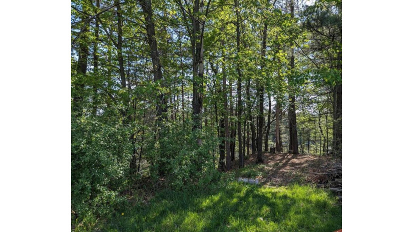 Lot 26 10th Avenue Chetek, WI 54728 by Cunningham Realty Group Wi $155,900