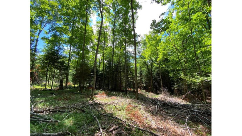 Lot 12 Crane Lane Hayward, WI 54843 by Woodland Developments & Realty $169,000