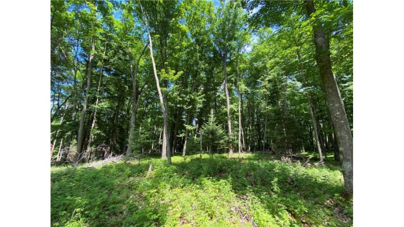 Lot 12 Crane Lane Hayward, WI 54843 by Woodland Developments & Realty $169,000