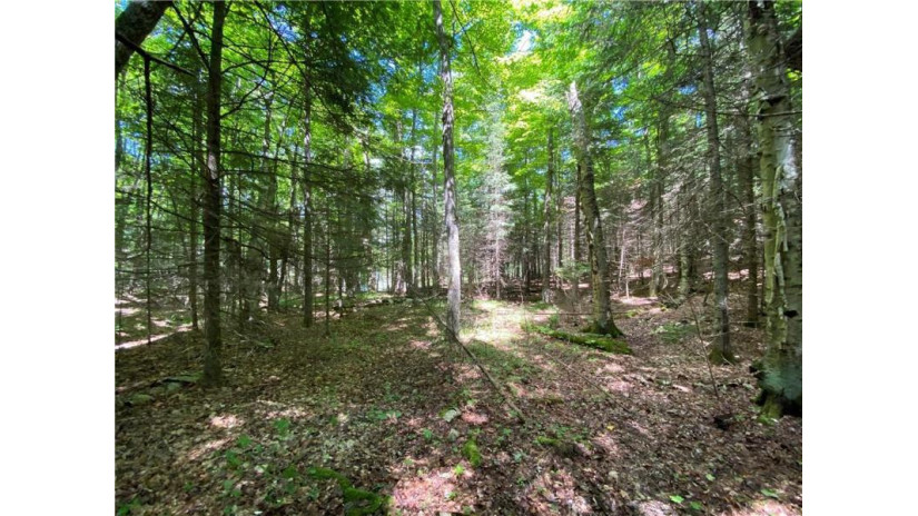 Lot 12 Crane Lane Hayward, WI 54843 by Woodland Developments & Realty $169,000