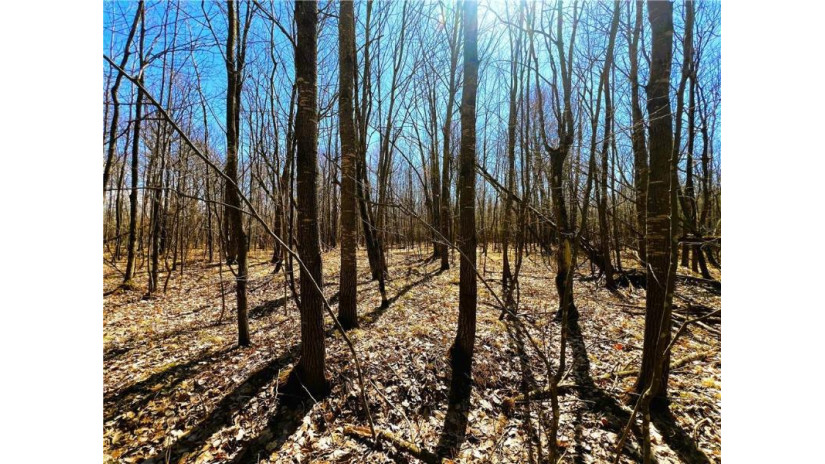 5 Acres on Broken Arrow Road Conrath, WI 54731 by Cb Northern Escape/Ladysmith $29,900