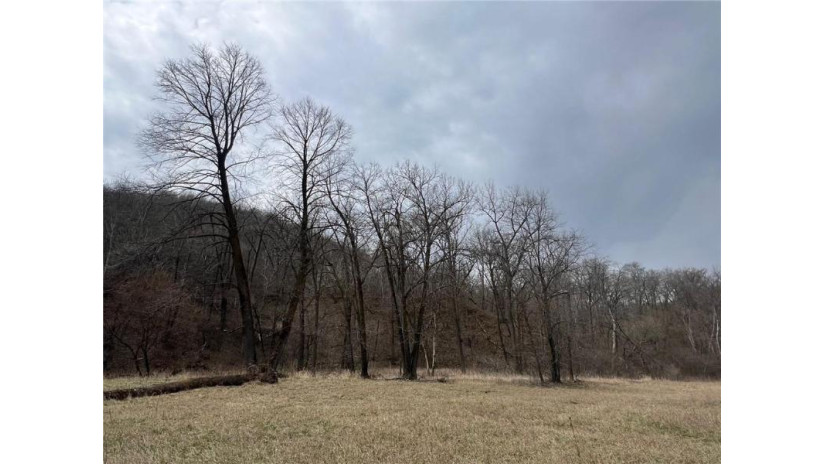 TBD County Road Aa Maiden Rock, WI 54750 by Timber Ghost Realty Llc $540,000