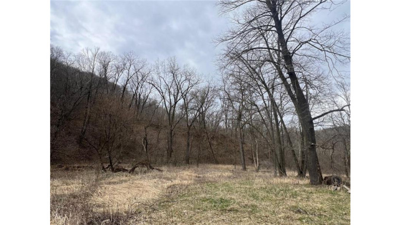 TBD County Road Aa Maiden Rock, WI 54750 by Timber Ghost Realty Llc $540,000