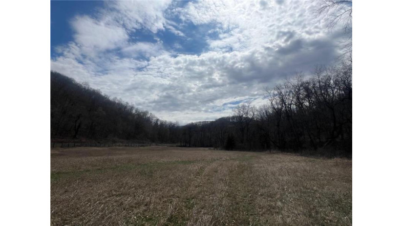 TBD County Road Aa Maiden Rock, WI 54750 by Timber Ghost Realty Llc $540,000