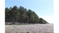 38.98 Acres Ryder Road Osseo, WI 54758 by Badger State Realty $279,000