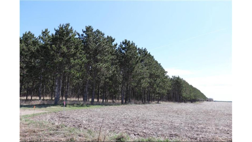 38.98 Acres Ryder Road Osseo, WI 54758 by Badger State Realty $279,000