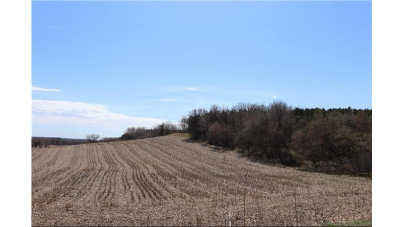 38.98 Acres Ryder Road Osseo, WI 54758 by Badger State Realty $279,000