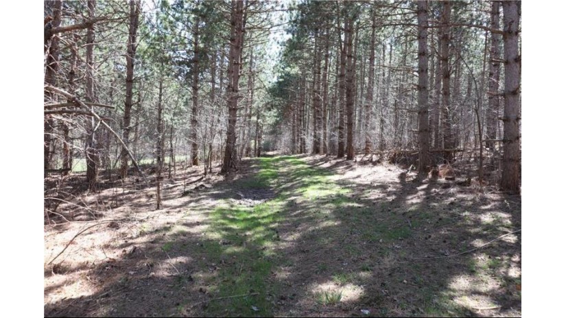 38.98 Acres Ryder Road Osseo, WI 54758 by Badger State Realty $279,000