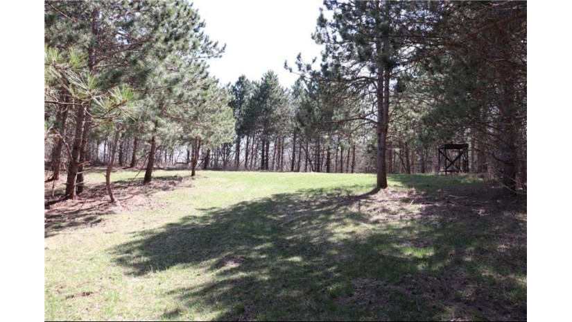 38.98 Acres Ryder Road Osseo, WI 54758 by Badger State Realty $279,000