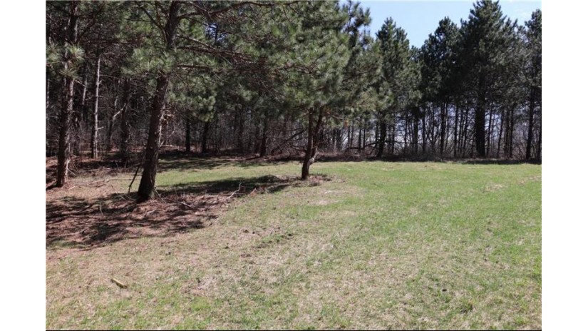 38.98 Acres Ryder Road Osseo, WI 54758 by Badger State Realty $279,000