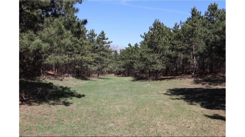 38.98 Acres Ryder Road Osseo, WI 54758 by Badger State Realty $279,000