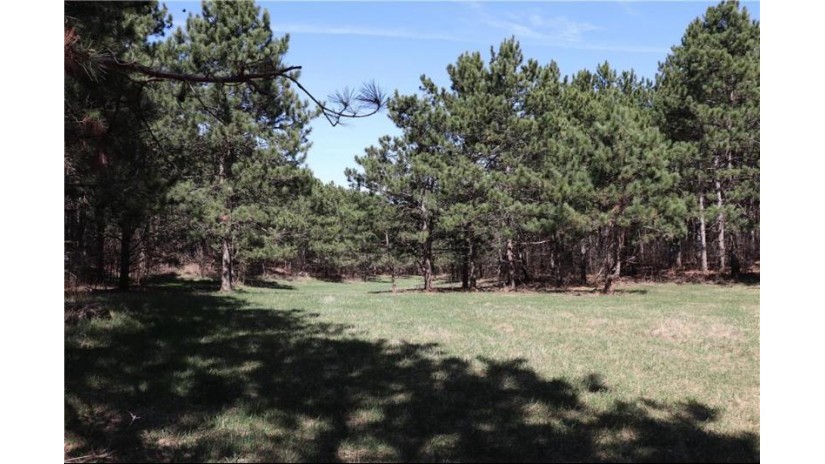 38.98 Acres Ryder Road Osseo, WI 54758 by Badger State Realty $279,000