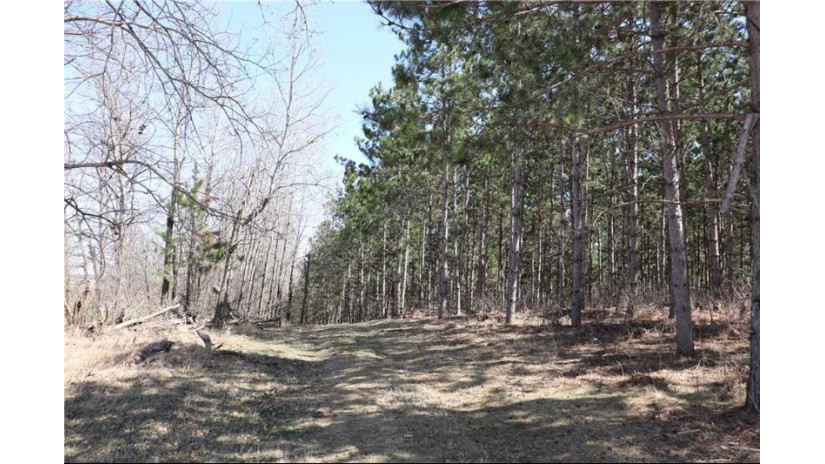 38.98 Acres Ryder Road Osseo, WI 54758 by Badger State Realty $279,000