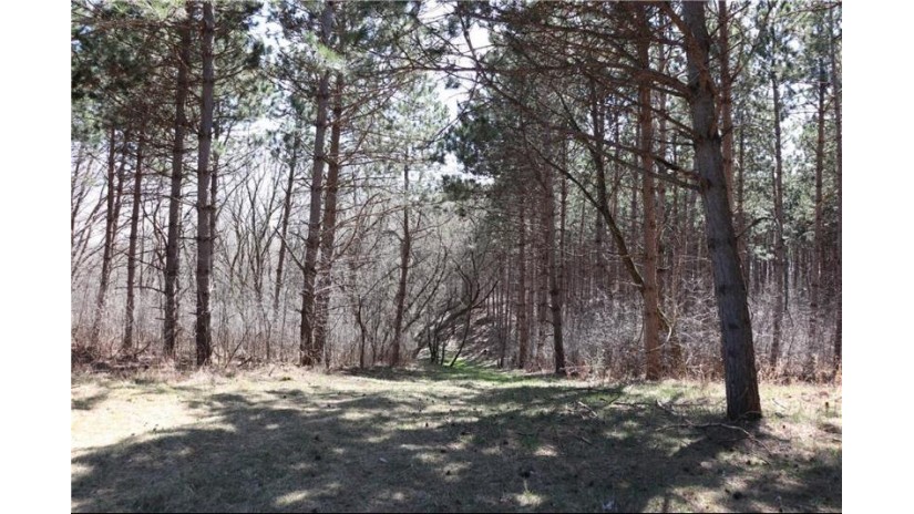 38.98 Acres Ryder Road Osseo, WI 54758 by Badger State Realty $279,000