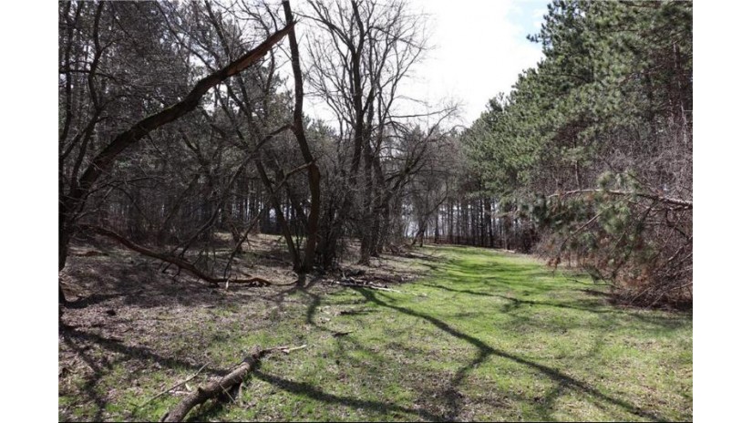 38.98 Acres Ryder Road Osseo, WI 54758 by Badger State Realty $279,000