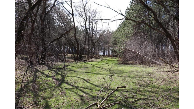 38.98 Acres Ryder Road Osseo, WI 54758 by Badger State Realty $279,000