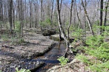 23.3 Acres Prt Nese S11 T37n R09w, Birchwood, WI 54843