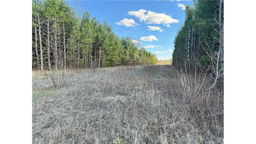 00 Cty S Other, WI 54730 by Whitetail Properties Real Estate $90,000