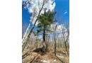 Lot 4 West River Road, Hayward, WI 54843 by Landguys, Llc Of Wisconsin $89,900