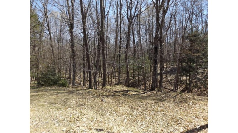 Lot 0 360th Street Stanley, WI 54768 by Edina Realty, Inc. - Chippewa Valley $35,000