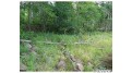 Lot 16 Tanglewood Parkway Hayward, WI 54843 by C21 Woods To Water $49,000