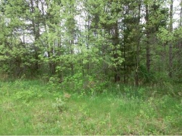 County Road F Lot 4, Marion, WI 54982