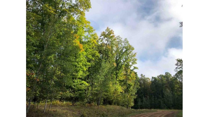 James Way Lot 6 Brazeau, WI 54161 by Gina Cramer Realty LLC - Office: 920-842-4778 $24,900