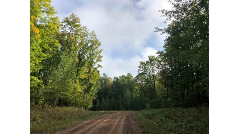 James Way Lot 11 Brazeau, WI 54161 by Gina Cramer Realty LLC - Office: 920-842-4778 $24,900