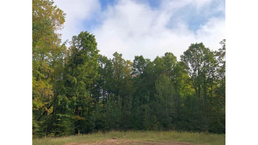 James Way Lot 11 Brazeau, WI 54161 by Gina Cramer Realty LLC - Office: 920-842-4778 $24,900