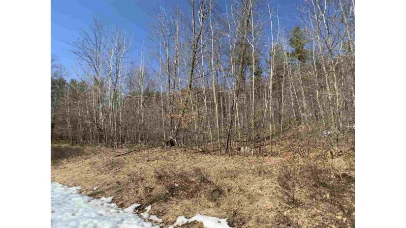 Lime Ridge Road Wescott, WI 54166-0000 by Coldwell Banker Real Estate Group $41,900