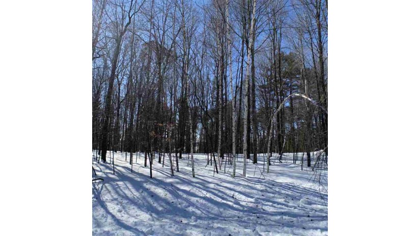 Lime Ridge Road Lot 36 Wescott, WI 54166 by Coldwell Banker Real Estate Group $30,500