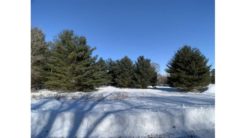 Lime Ridge Road Lot 36 Wescott, WI 54166 by Coldwell Banker Real Estate Group $30,500