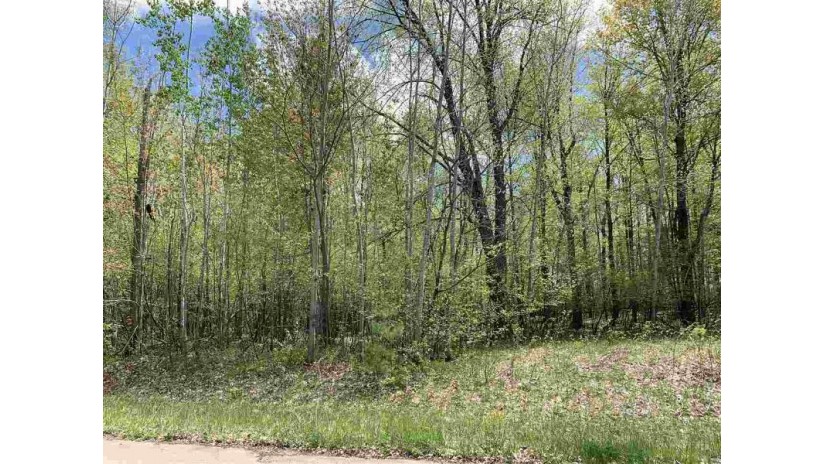Lime Ridge Road Lot 37 Wescott, WI 54166 by Coldwell Banker Real Estate Group $30,500