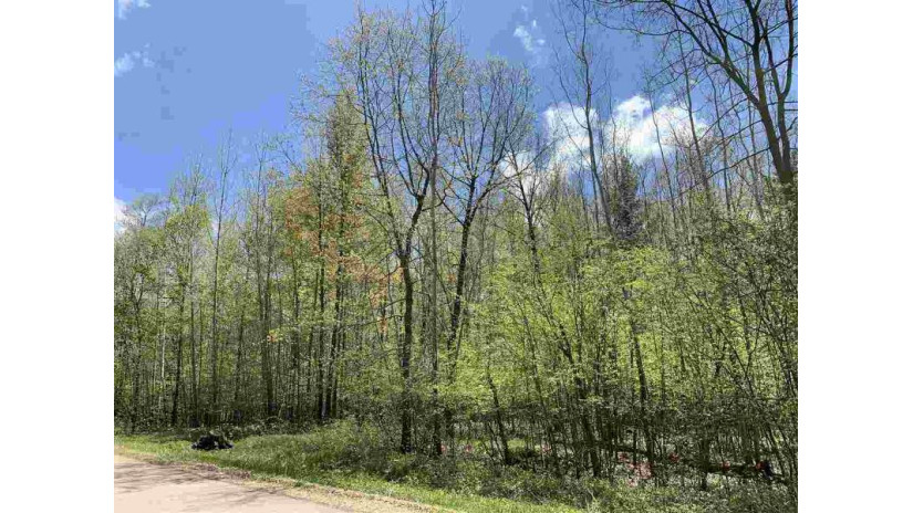 Lime Ridge Road Lot 38 Wescott, WI 54166 by Coldwell Banker Real Estate Group $34,500