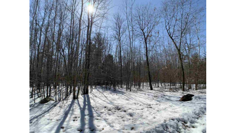 Lime Ridge Road Lot 38 Wescott, WI 54166 by Coldwell Banker Real Estate Group $34,500