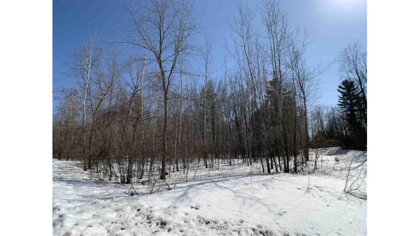Lime Ridge Road Wescott, WI 54166-0000 by Coldwell Banker Real Estate Group $34,500