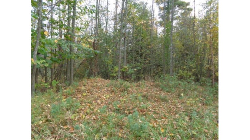 Cth G Spruce, WI 54174 by Boss Realty, LLC $122,000
