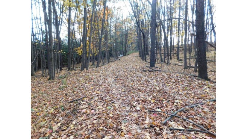 Rocky Ridge Lane Belle Plaine, WI 54166-0000 by RE/MAX North Winds Realty, LLC $44,000