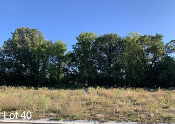 1716 Bobby Jones Drive Lot 40, Ledgeview, WI 54115