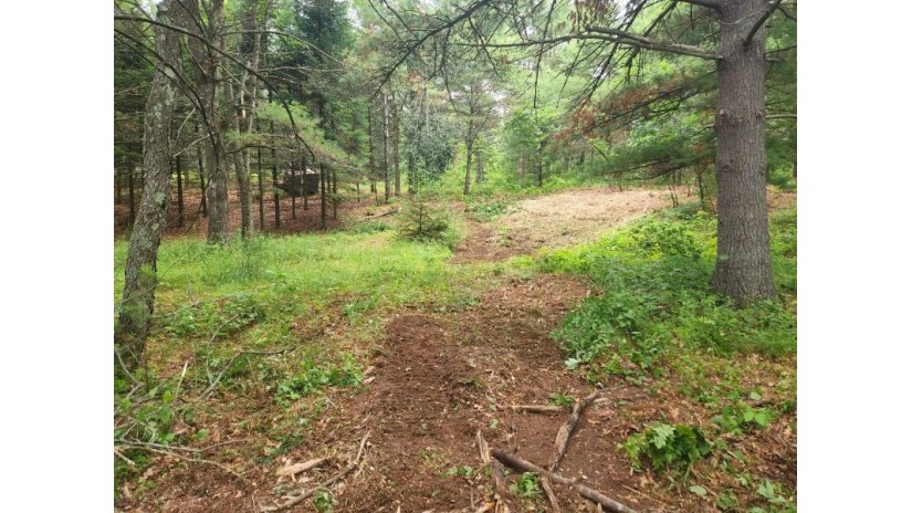 Hwy 180 Lot 1 Porterfield, WI 54159 by Broadway Real Estate $74,900