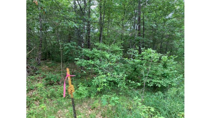 Oxbow Lane Wausaukee, WI 54177 by Hansen Investments, LLC $19,900