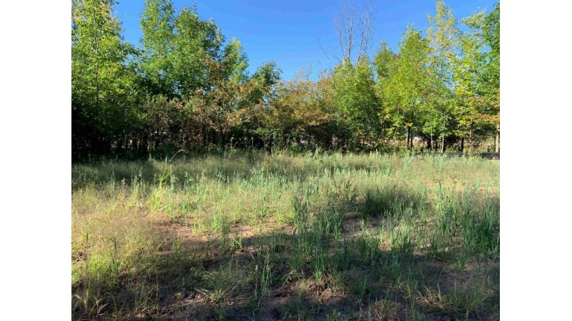 1621 Grace Garden Way Lot 1 Ledgeview, WI 54115 by Creative Element Builders, LLC $94,900