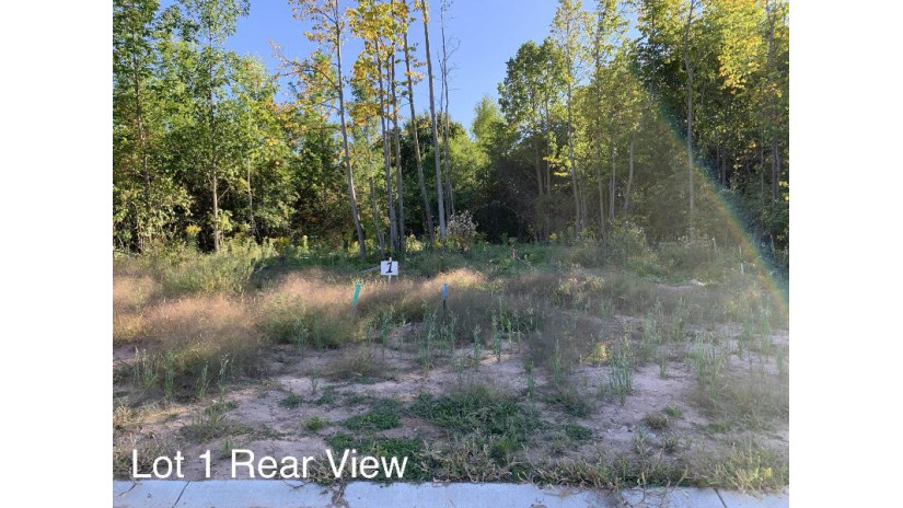 1621 Grace Garden Way Lot 1 Ledgeview, WI 54115 by Creative Element Builders, LLC $94,900