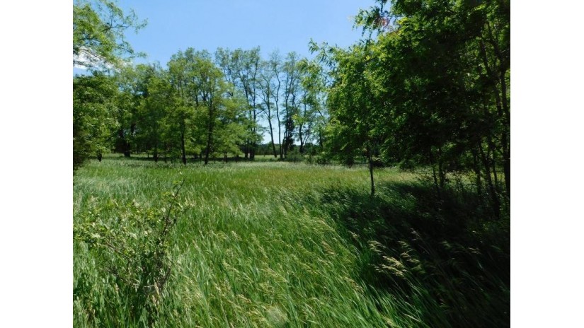 Fern Avenue Lot 34 Mecan, WI 53949 by Adashun Jones, Inc. - OFF-D: 920-745-8095 $29,900