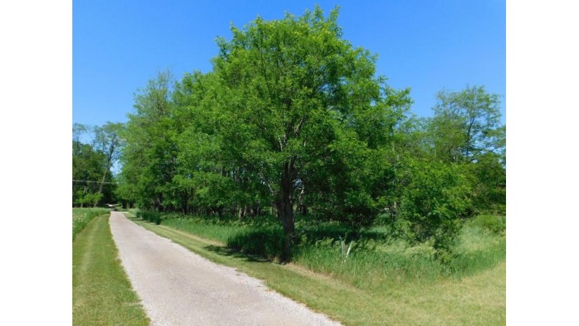 Fern Avenue Lot 59 Mecan, WI 53949 by Adashun Jones, Inc. - OFF-D: 920-745-8095 $30,900