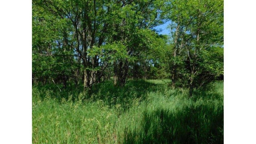 Fern Avenue Lot 59 Mecan, WI 53949 by Adashun Jones, Inc. - OFF-D: 920-745-8095 $30,900