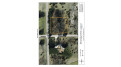 Eagle Lane Lot 49 Mecan, WI 53949 by Adashun Jones, Inc. - OFF-D: 920-745-8095 $24,900