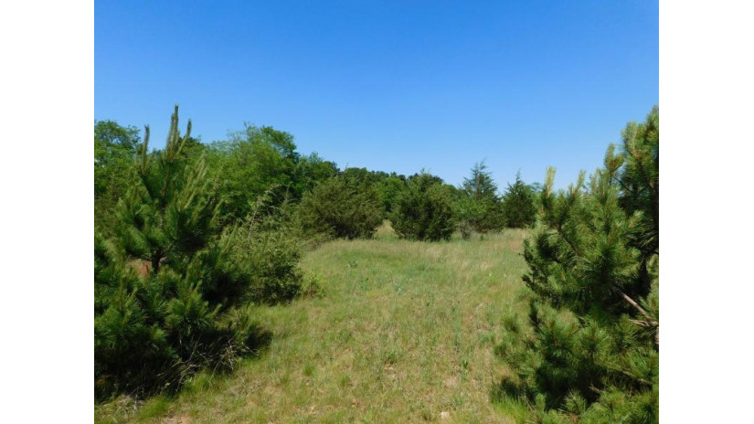 Eagle Lane Lot 56 Mecan, WI 53949 by Adashun Jones, Inc. - OFF-D: 920-745-8095 $30,900